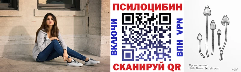 kraken онион  Новороссийск  Галлюциногенные грибы Psilocybine cubensis  цена наркотик 
