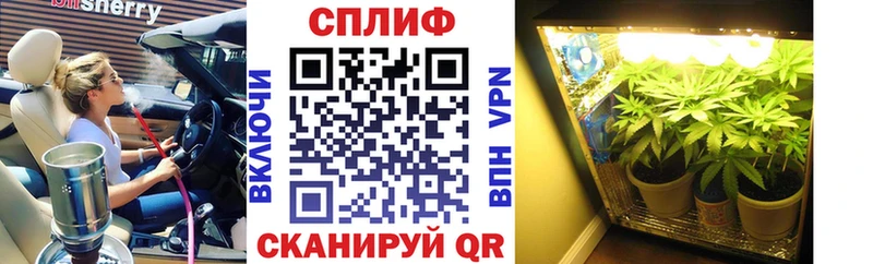 omg как войти  продажа наркотиков  Новороссийск  Бошки Шишки White Widow 